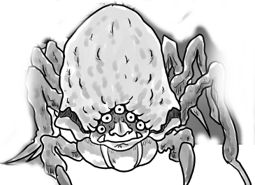 伯耆の山蜘蛛