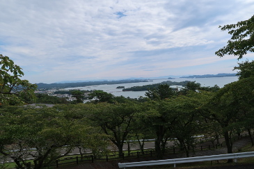 西行戻り松から松島を見下ろす